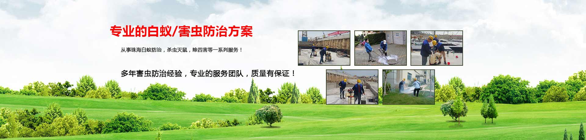 白蟻防治