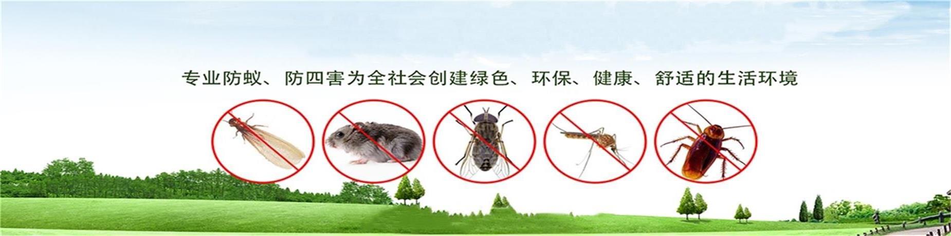 珠海白蟻防治公司